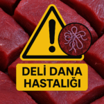 ChatGPT Image 31 Eki 2025 20_14_11