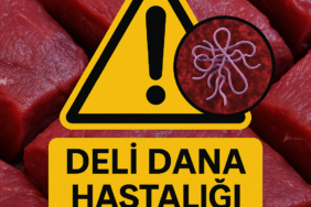 ChatGPT Image 31 Eki 2025 20_14_11