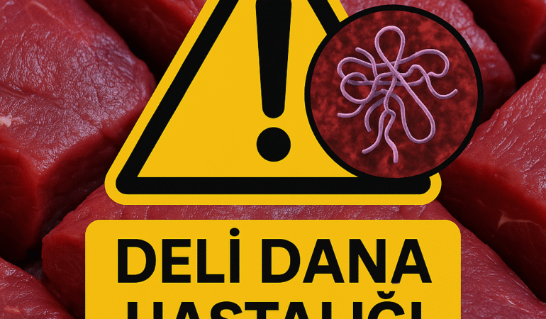 ChatGPT Image 31 Eki 2025 20_14_11