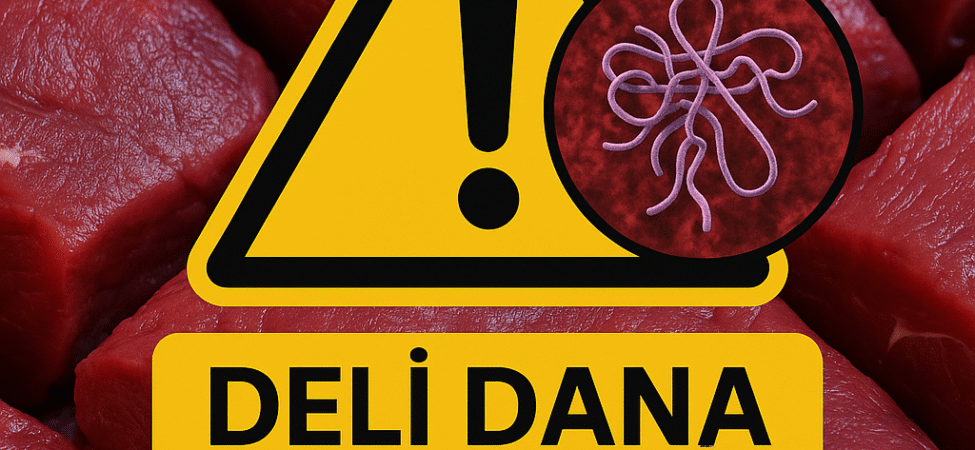 ChatGPT Image 31 Eki 2025 20_14_11