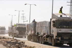 photo_5778582406477581281_y