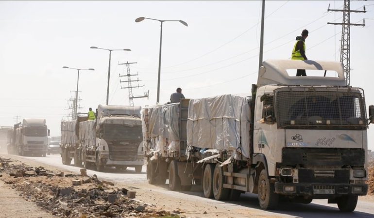 photo_5778582406477581281_y