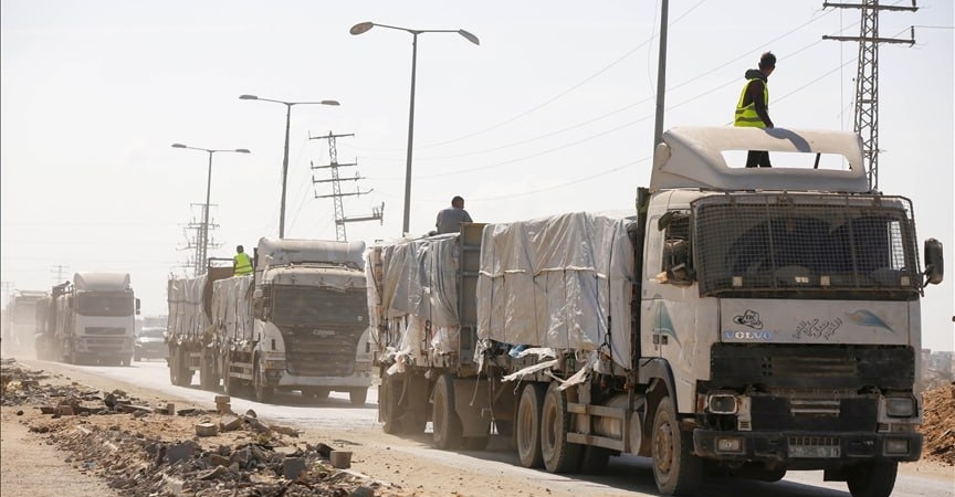 photo_5778582406477581281_y